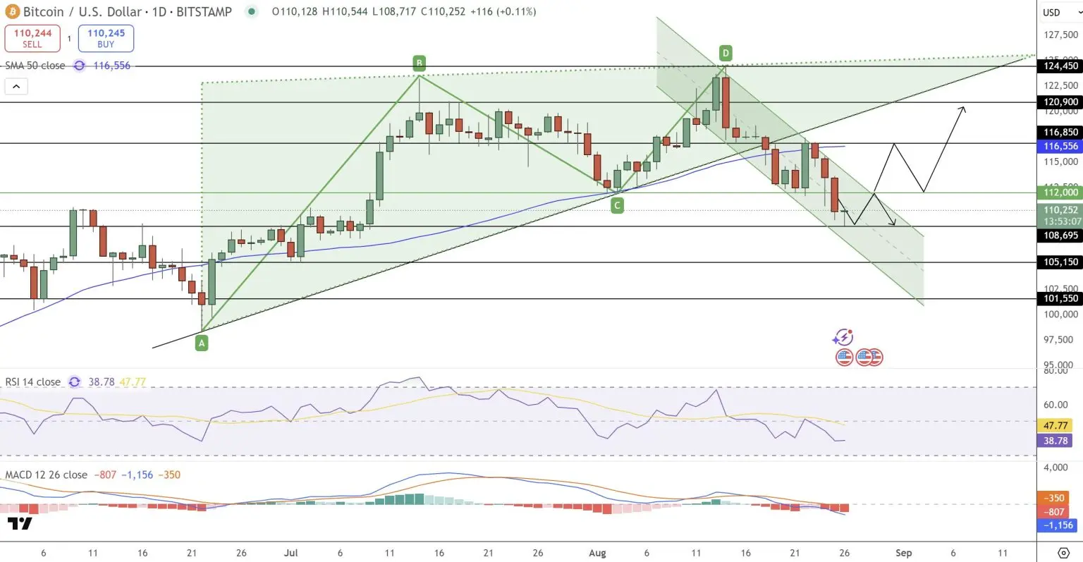 What Will Bitcoin Price Prediction? Market Faces $100K or $130K Path